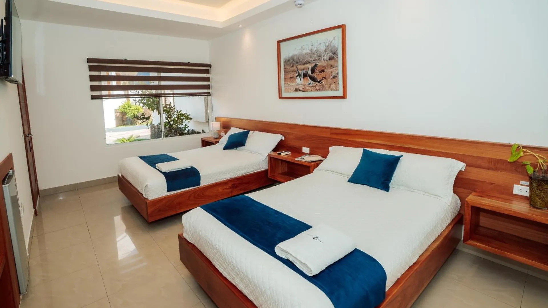 Hotel Ninfa Puerto Ayora  Puerto Ayora (Galapagos Islands)