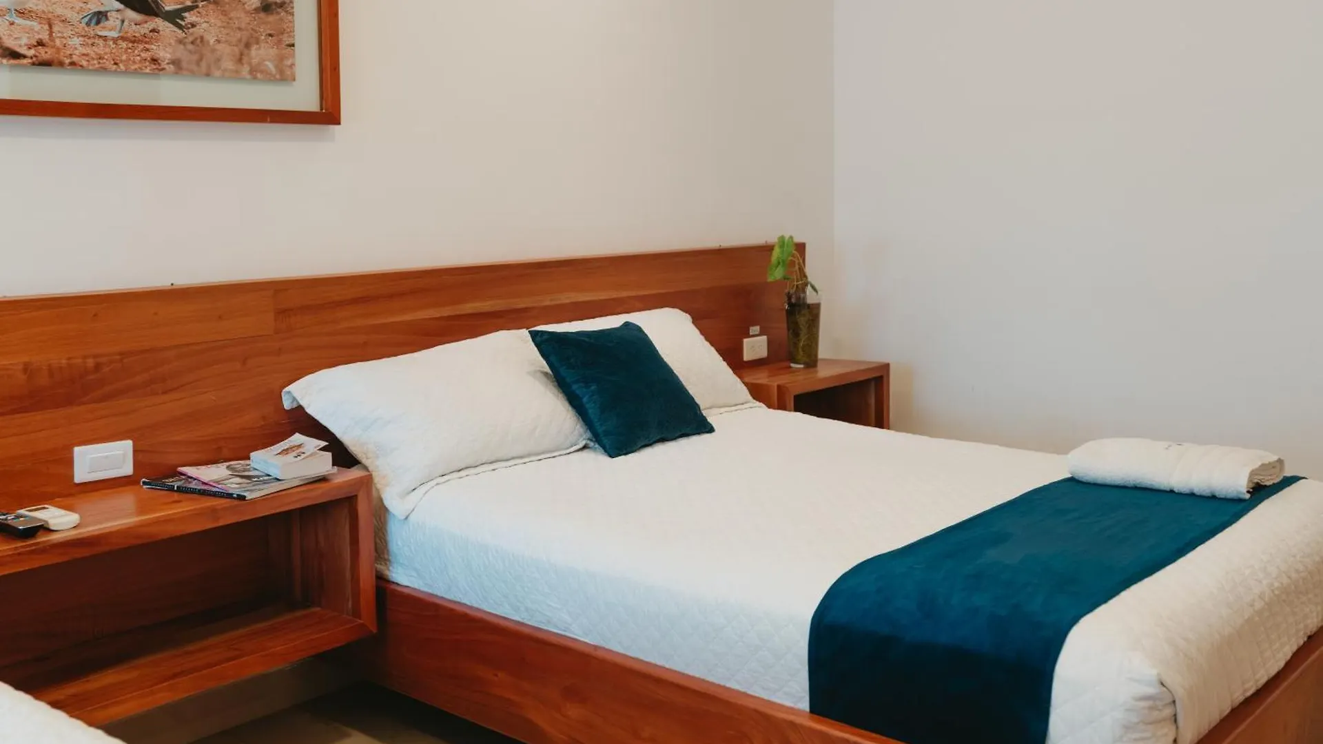 Hotel Ninfa Puerto Ayora