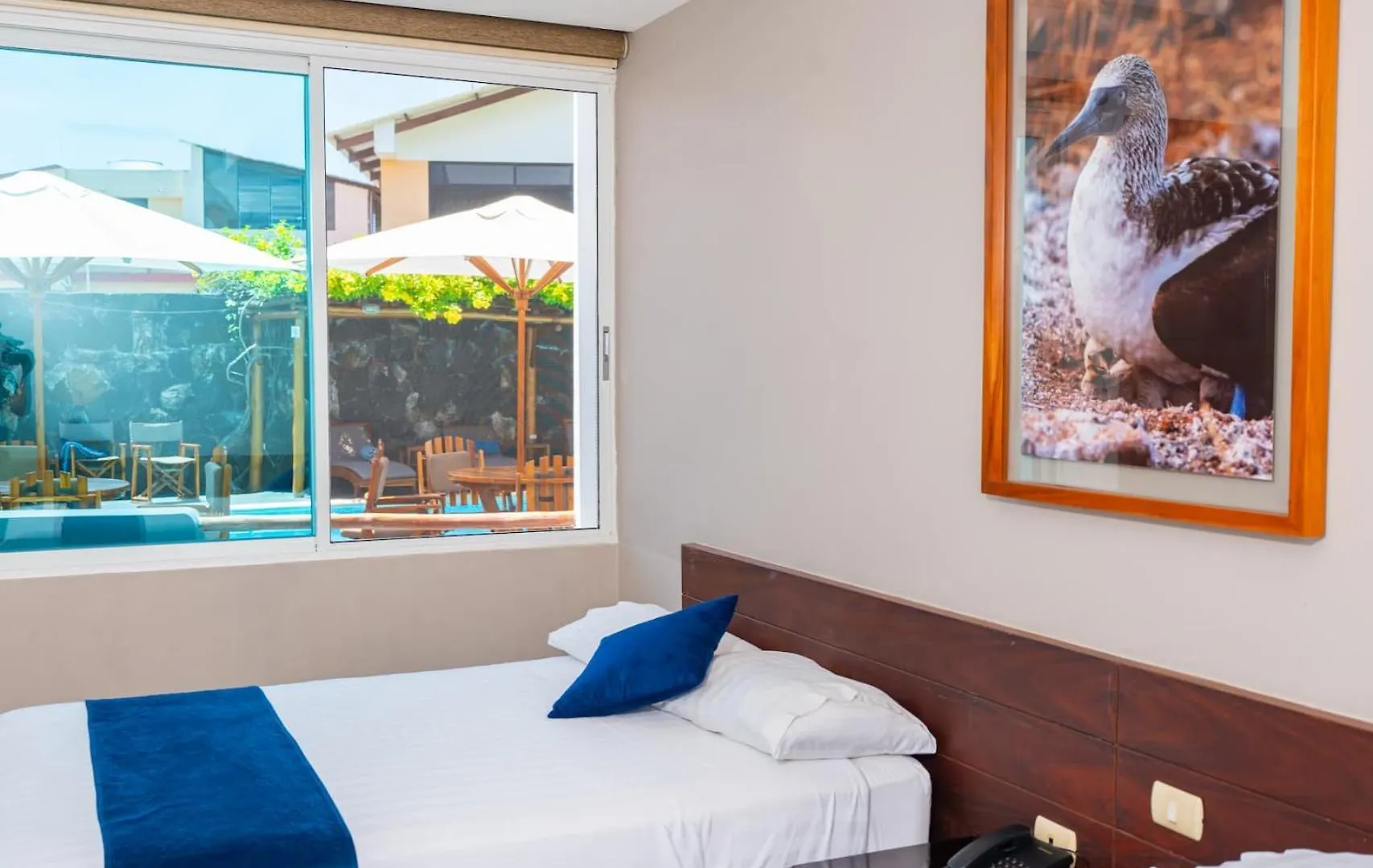 Hotel Ninfa Puerto Ayora