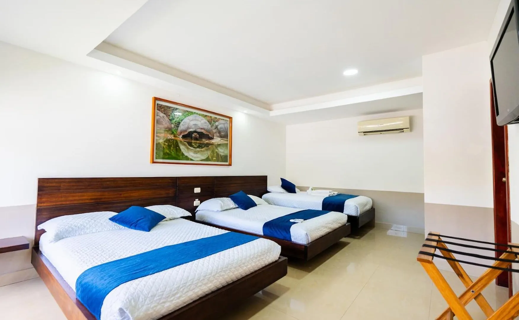 Hotel Ninfa Puerto Ayora  Puerto Ayora (Galapagos Islands)