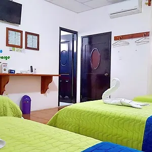 La Mirada Del Solitario George Hostel