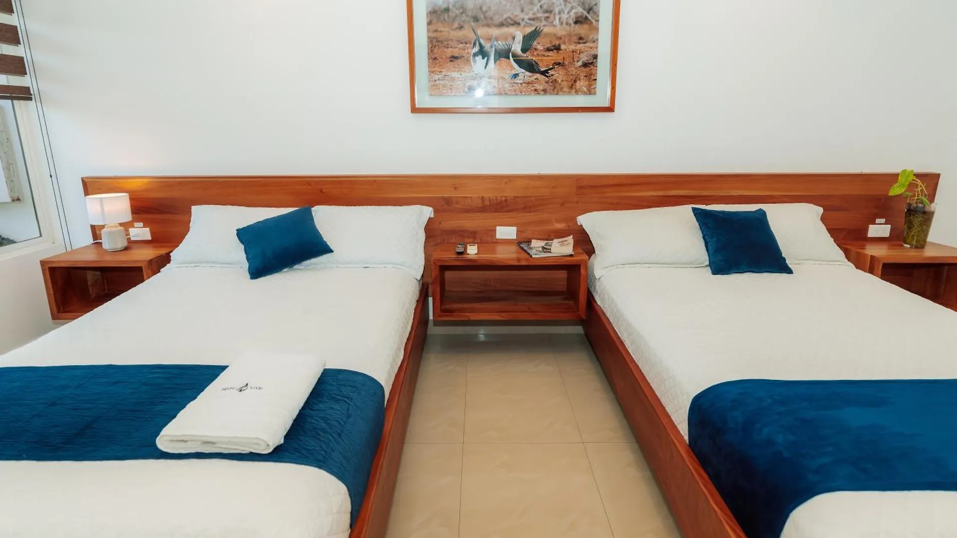 Hotel Ninfa Puerto Ayora   Puerto Ayora (Galapagos Islands)