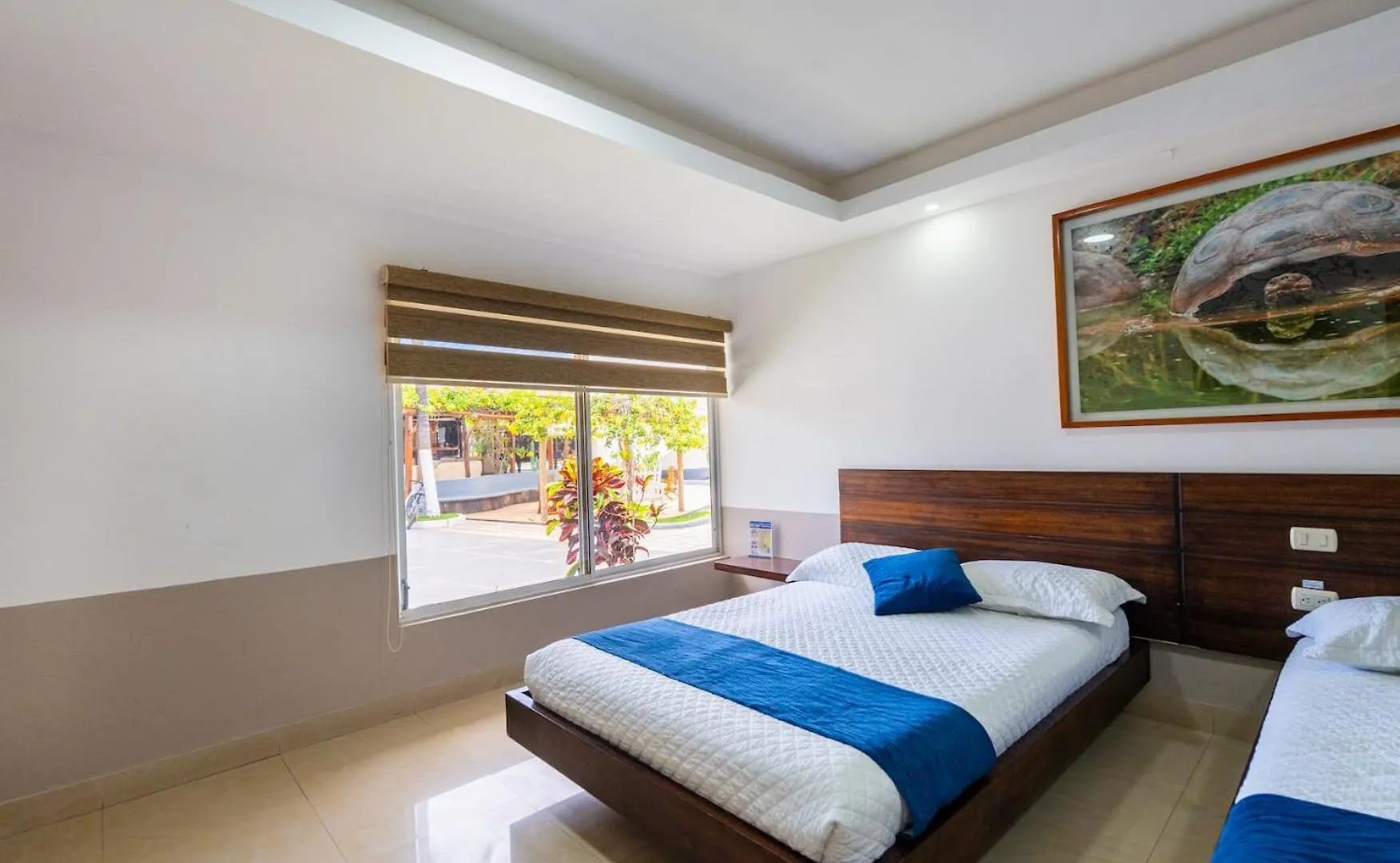 Hotel Ninfa Puerto Ayora  Puerto Ayora (Galapagos Islands)